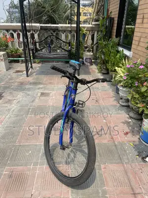 Cycle 24size: Duranta Muscular Premier