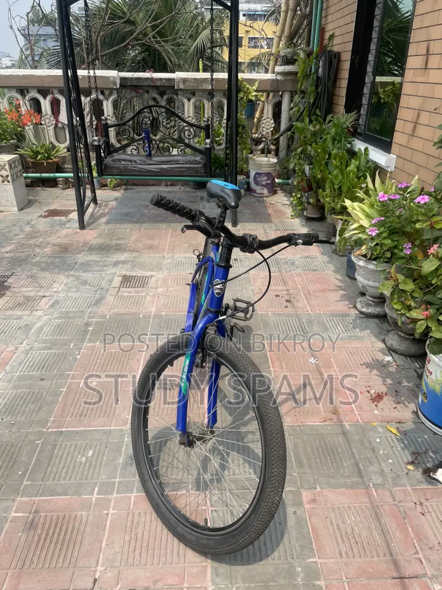 Cycle 24size: Duranta Muscular Premier