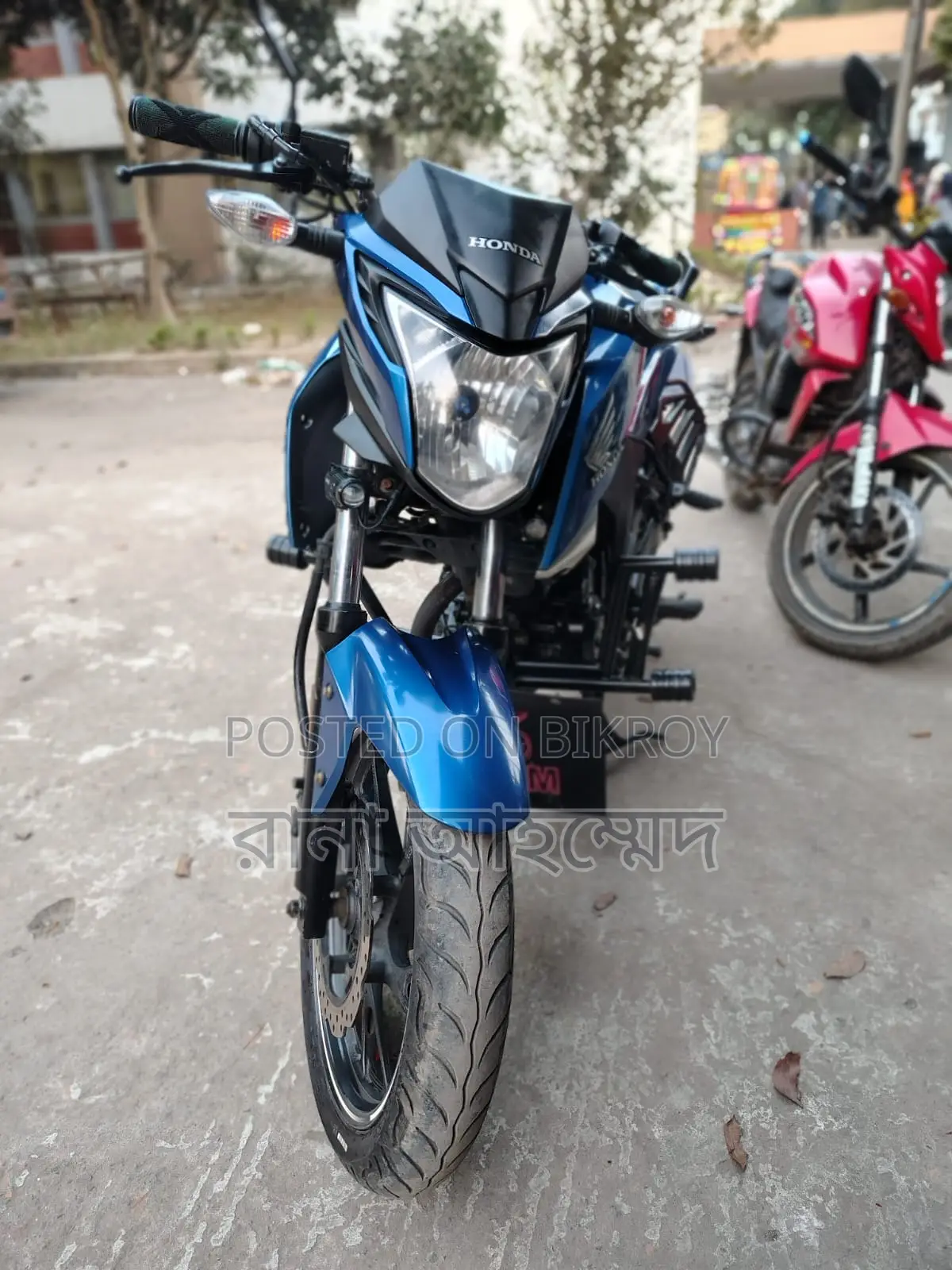 Honda Hornet 2019