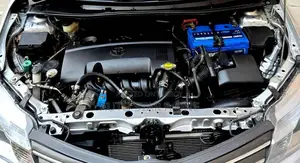 Toyota Axio Corolla X Cng 2014