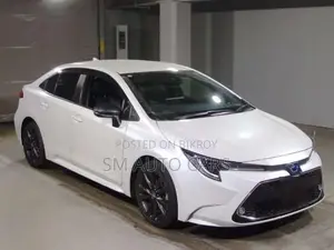 Toyota Corolla WXB Pearl Color 2021