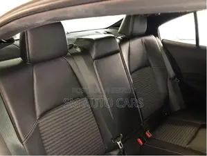 Toyota Corolla WXB Pearl Color 2021