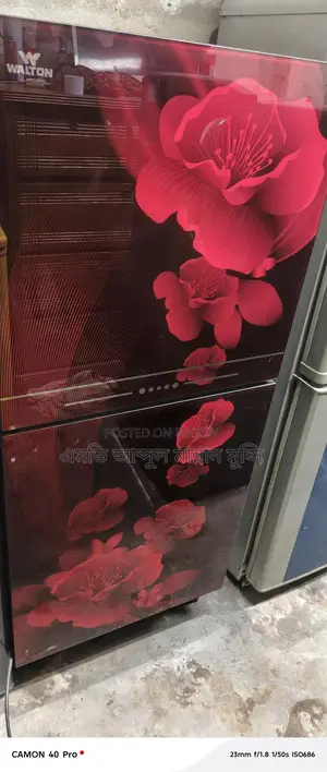 Walton Fridge