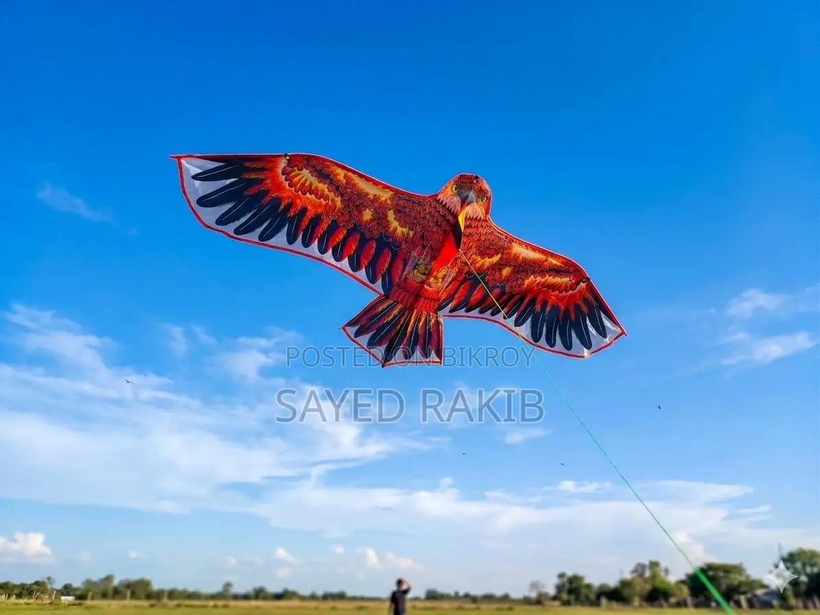🦅 Eagle Kite 🦅