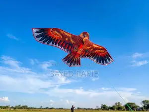 🦅 Eagle Kite 🦅