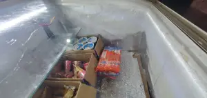 Singer Ice Frizz