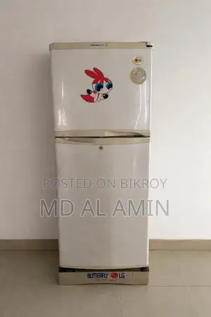 LG Butterfly Refrigerator