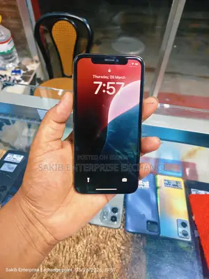 Apple iPhone XS 256 gb (Used)