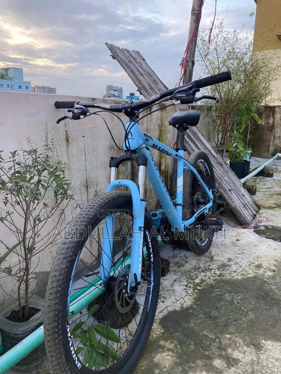 Bicycle For Sale