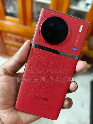 Vivo X90 12/256 (Used)