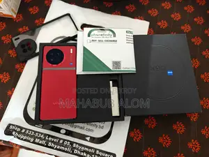 Vivo X90 12/256 (Used)