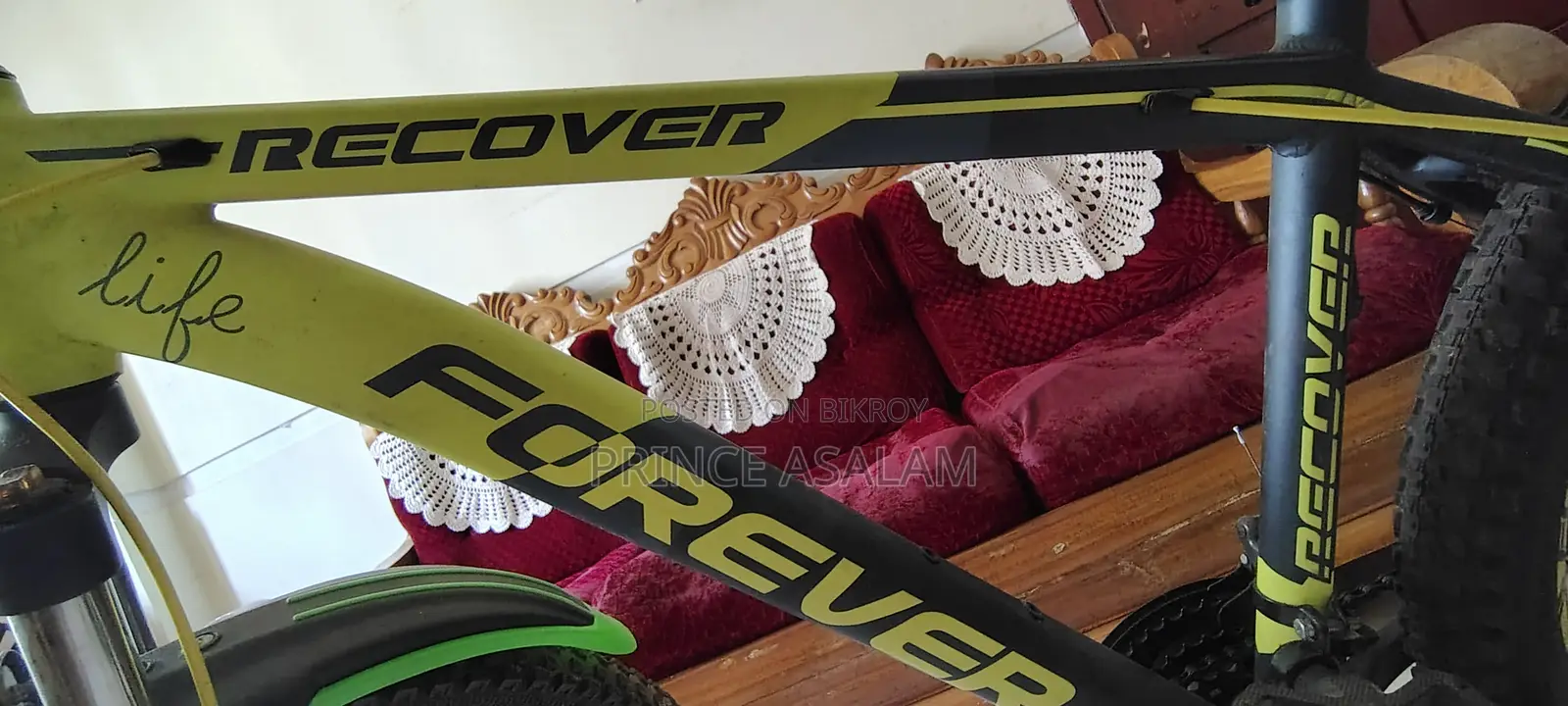 Forever Cycle for Sale