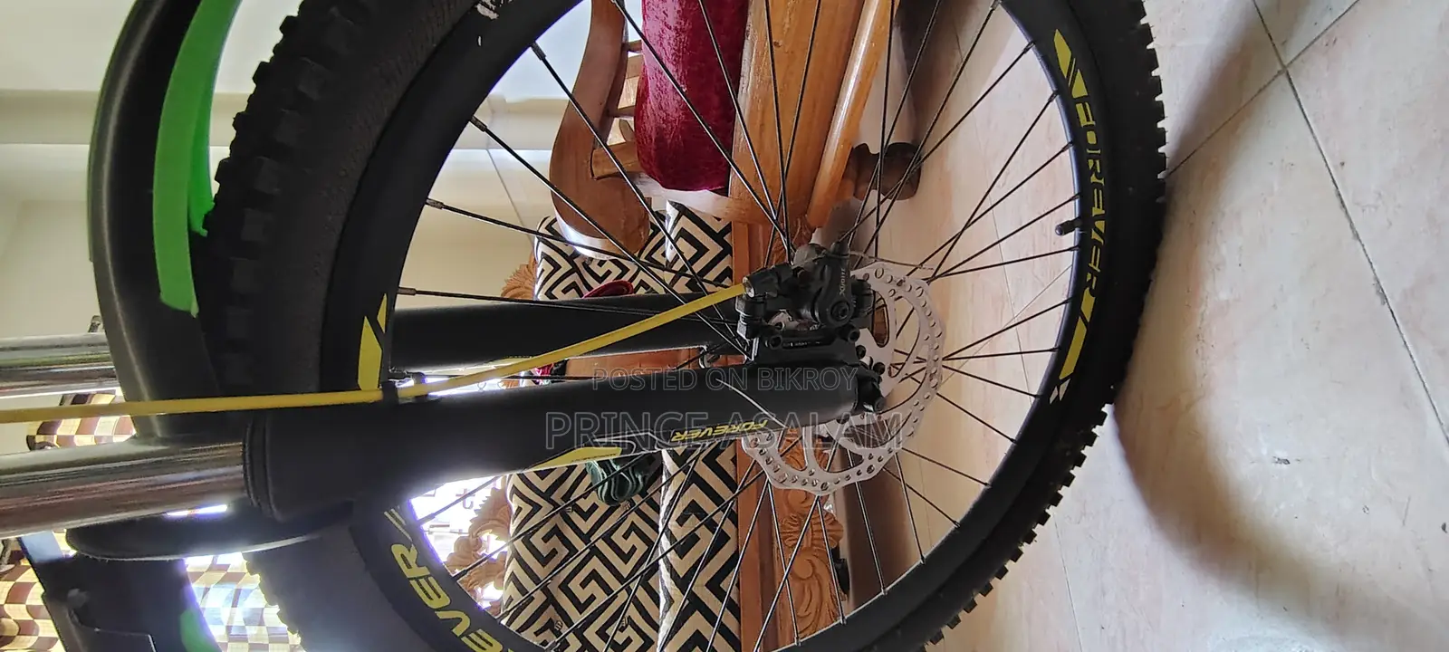 Forever Cycle for Sale