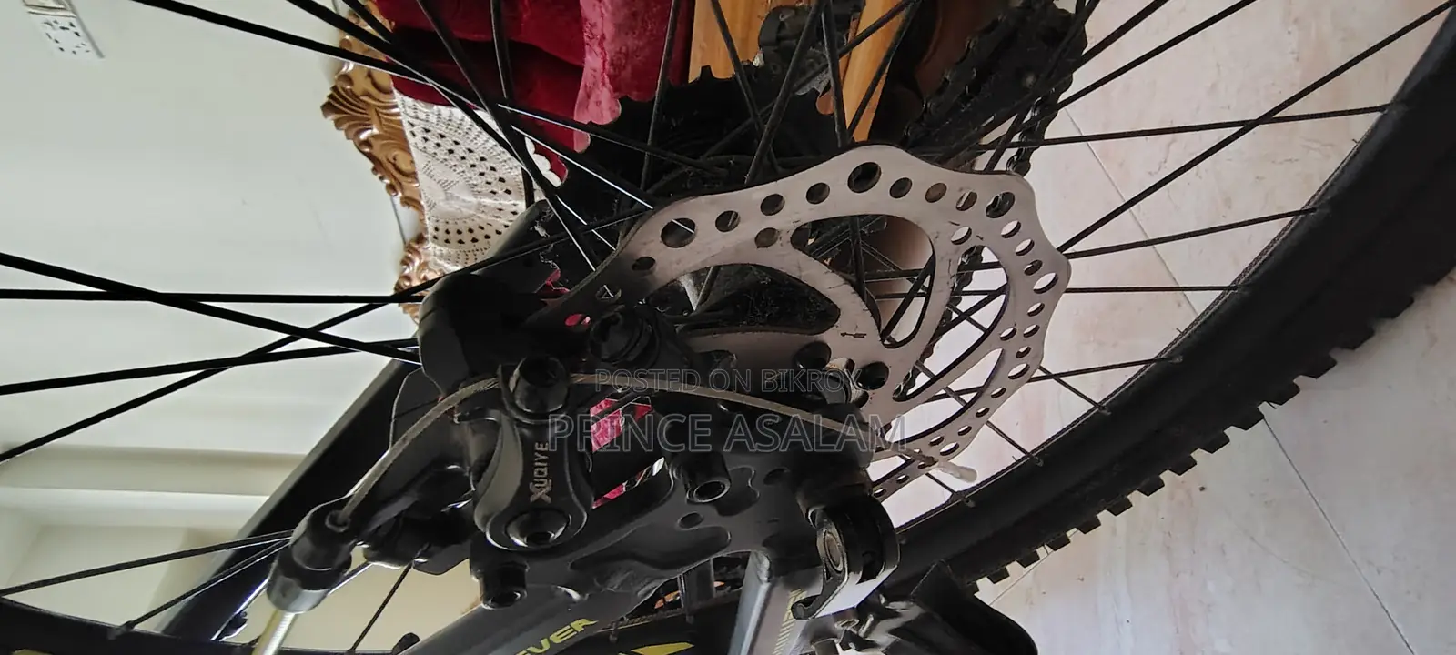 Forever Cycle for Sale