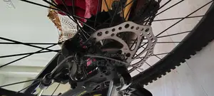 Forever Cycle for Sale