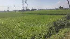 জমি বিক্রয় হবে