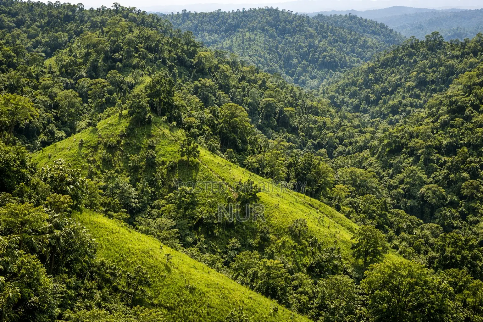 পাহাড়ি জমি বিক্রয় হবে – রাস্তা সংযোগ, রিসোর্ট বা খামারের সম্ভাবনা