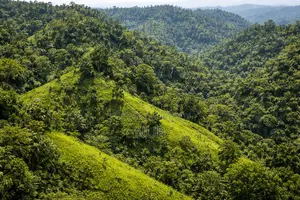 পাহাড়ি জমি বিক্রয় হবে – রাস্তা সংযোগ, রিসোর্ট বা খামারের সম্ভাবনা