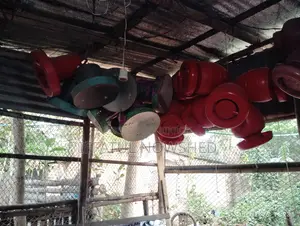 Poultry Farm Supplies for Sale