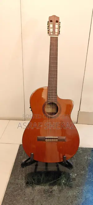 Cordoba Guitar for Sale