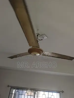 Ceiling Fan with a Johnny Jhor Fan