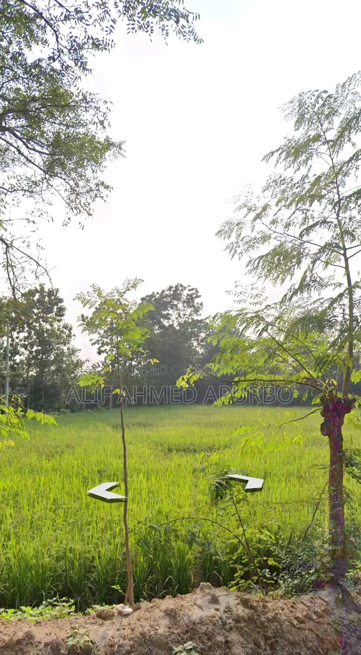 6 Bigha Commercial Land for Sale in Echali Dhirasram Gazipur.
