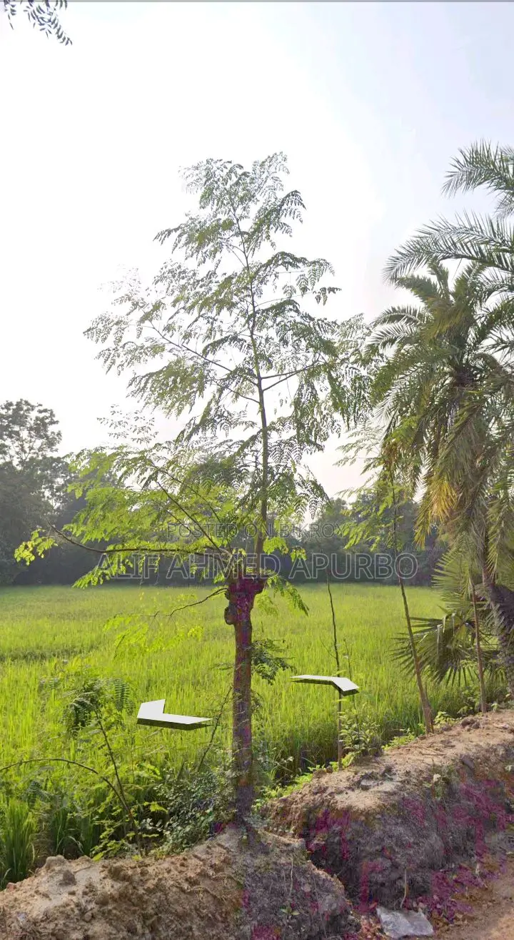 6 Bigha Commercial Land for Sale in Echali Dhirasram Gazipur.
