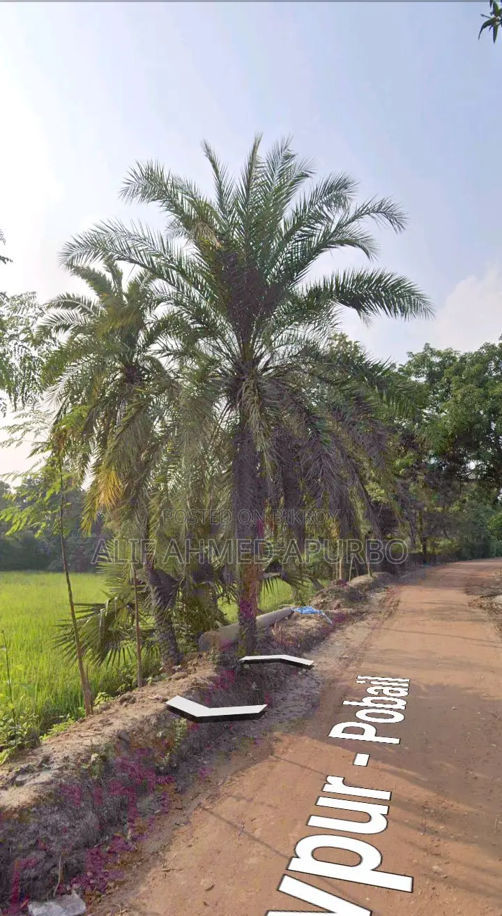 6 Bigha Commercial Land for Sale in Echali Dhirasram Gazipur.