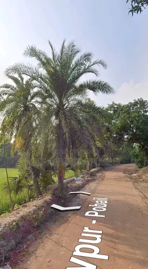 6 Bigha Commercial Land for Sale in Echali Dhirasram Gazipur.