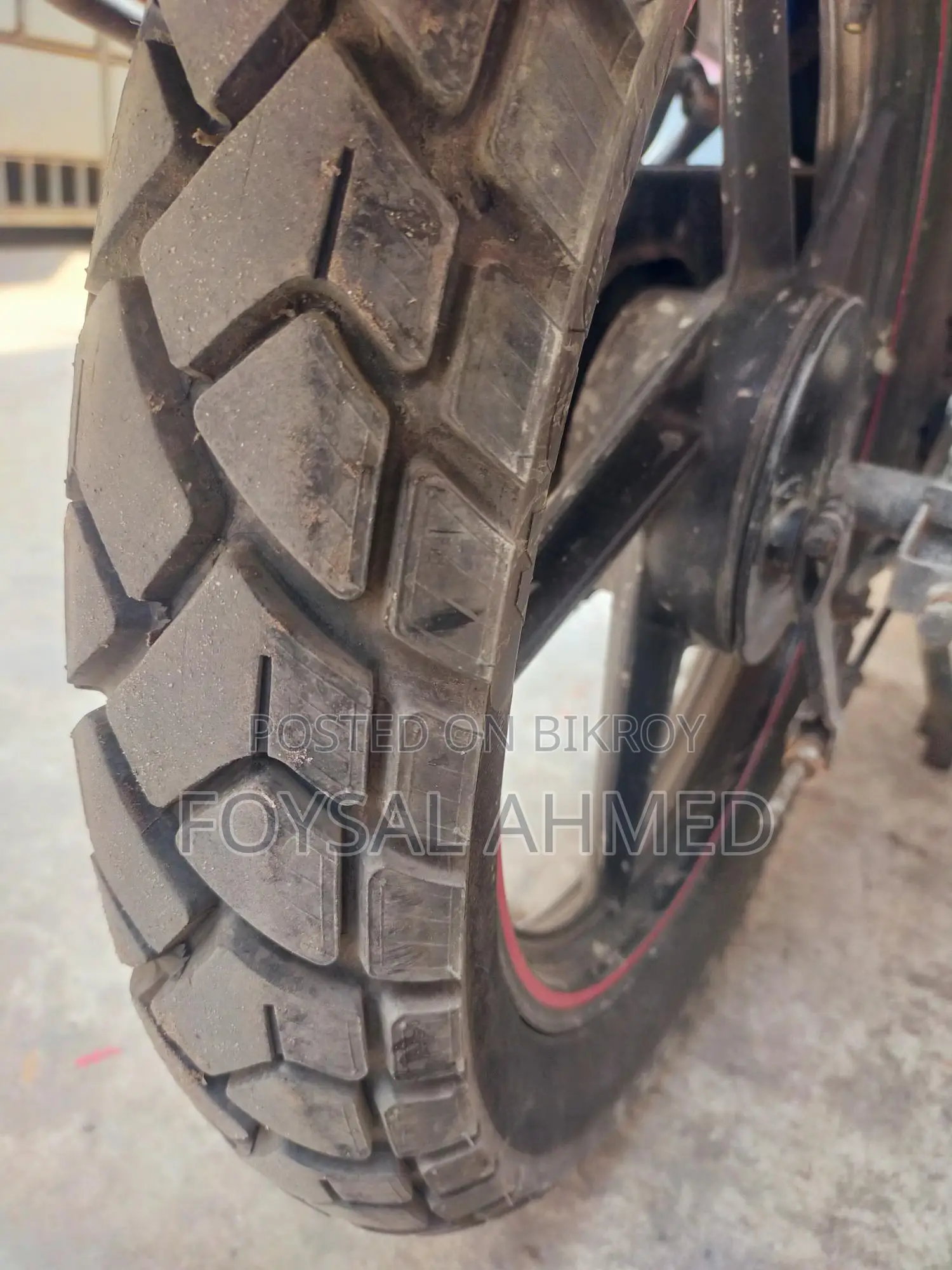 Runner Royal Plus 2020