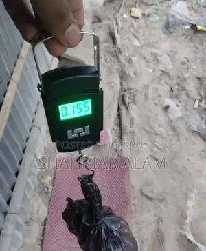 Portable Digital Weight Scale