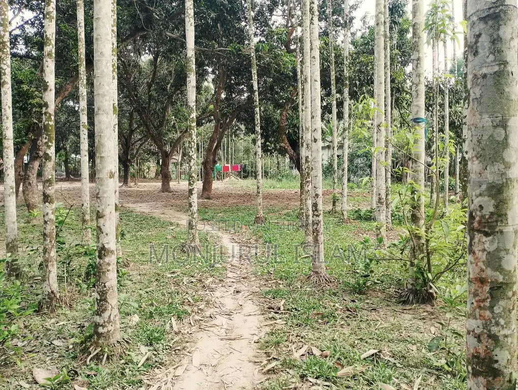 সরকারি রোড সংলগ্ন, আবাসিক অঞ্চলে, একটি সুন্দর জমি বিক্রয় করা হইবে।