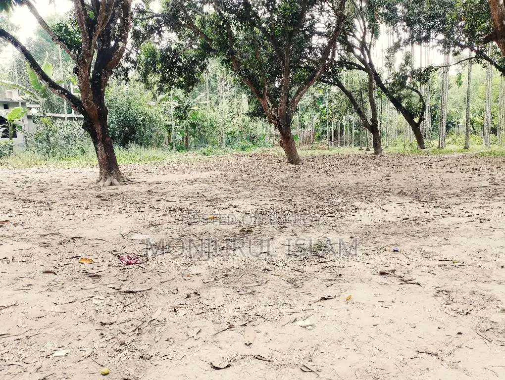 সরকারি রোড সংলগ্ন, আবাসিক অঞ্চলে, একটি সুন্দর জমি বিক্রয় করা হইবে।