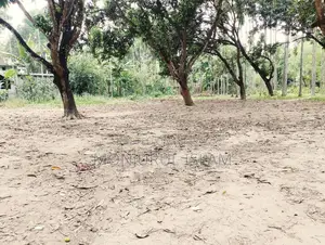 সরকারি রোড সংলগ্ন, আবাসিক অঞ্চলে, একটি সুন্দর জমি বিক্রয় করা হইবে।