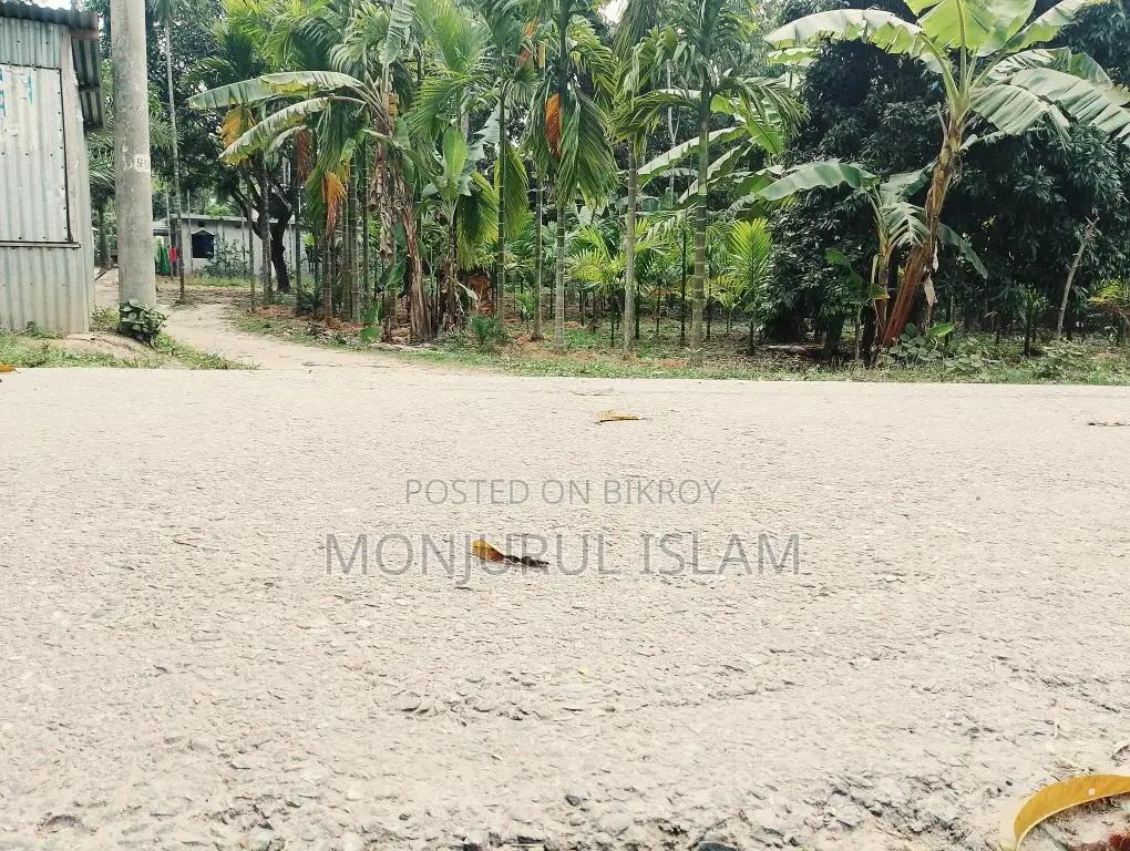 সরকারি রোড সংলগ্ন, আবাসিক অঞ্চলে, একটি সুন্দর জমি বিক্রয় করা হইবে।