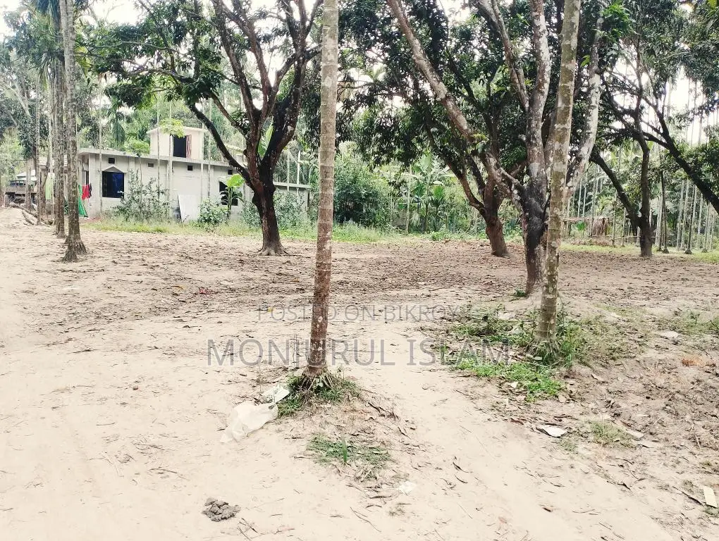 সরকারি রোড সংলগ্ন, আবাসিক অঞ্চলে, একটি সুন্দর জমি বিক্রয় করা হইবে।