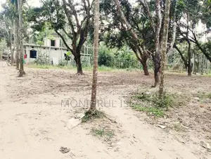 সরকারি রোড সংলগ্ন, আবাসিক অঞ্চলে, একটি সুন্দর জমি বিক্রয় করা হইবে।