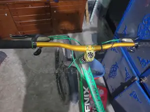 ফিনিক্স গিয়ার সাইকেল ৬.৫ হাজার ফিক্সড