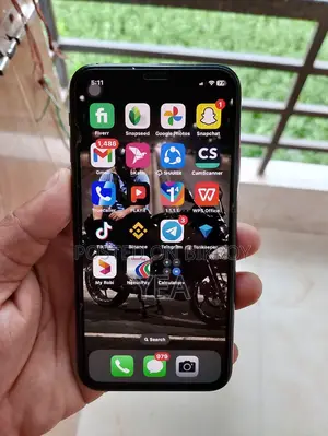 Apple iPhone X (Used)