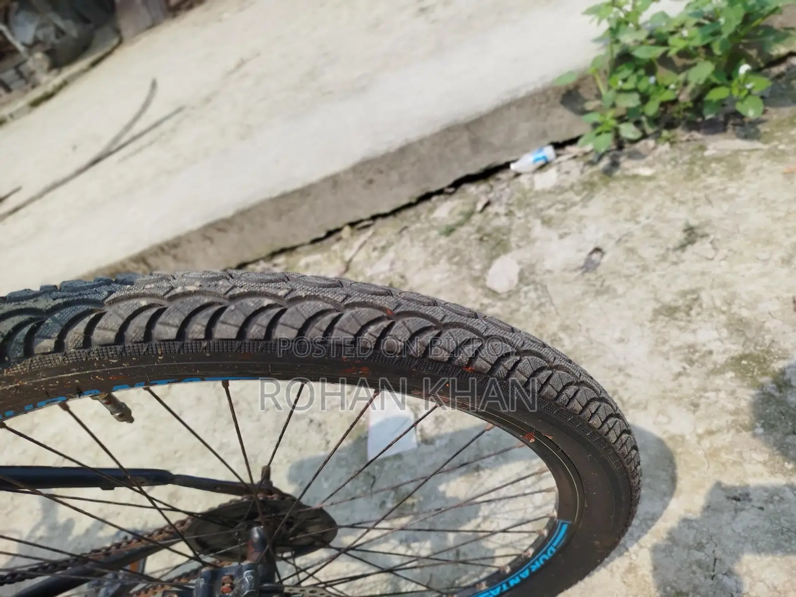Duranta Cycle