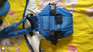 Chicco Baby Carrier Bag
