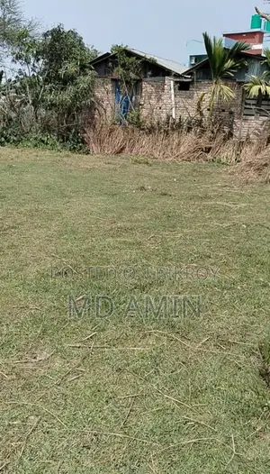 নিস্কন্ঠক জমি