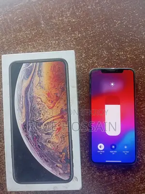 Apple iPhone XS Max 256GB (Used)