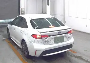 Toyota Corolla WXB Pearl 4 Point 2021