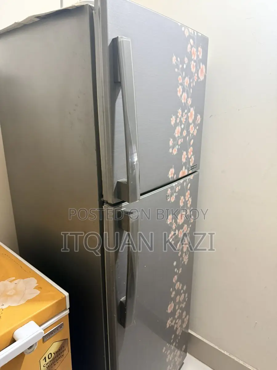 Samsung Refrigerator (digital Inverter 250l)