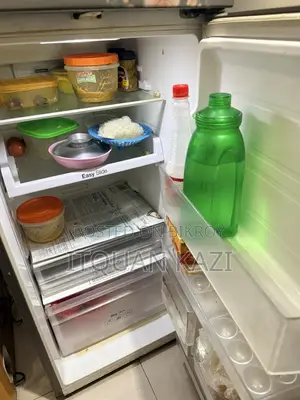Samsung Refrigerator (digital Inverter 250l)