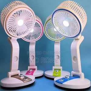 Lr Folding Fan