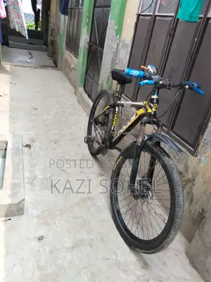 Phoenix Bicycle for sale