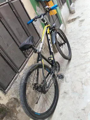 Phoenix Bicycle for sale