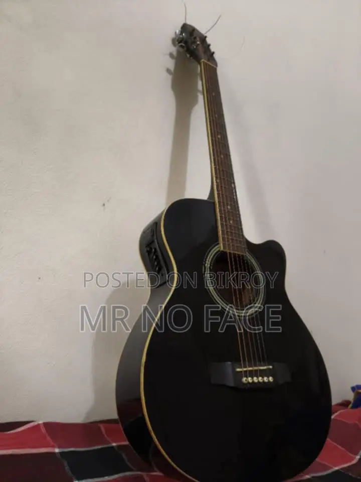 Guitar